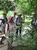 「夏の樹木観察会」