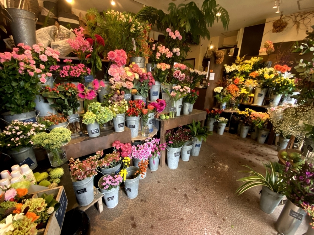 芽ぶき屋 船橋店 花 ガーデニング まいぷれ 船橋市