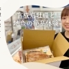 【体験レポート】舞鶴かね和で味わう日本海の恵み！育成岩牡蠣と地魚の絶品体験