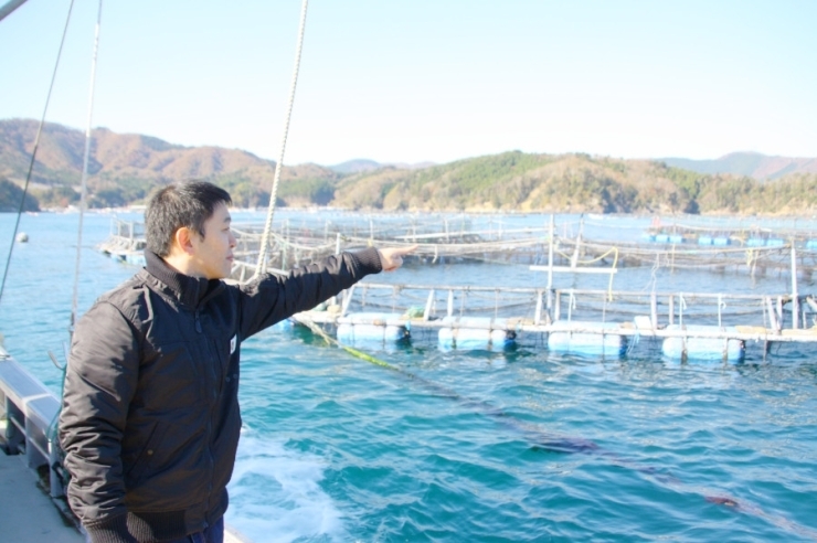 宮城県女川町にある銀鮭養殖場を訪れて。