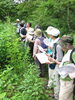 「これは何枚の葉っぱ？　夏の樹木観察会」