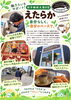 利用者募集中「ハロウィン🎃くじ開催中&利用者募集中」