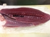 「本日“カツオの刺身“が美味い‼」