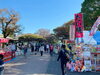 「葛飾区も後援！日米友好イベント『アメリカンフェスティバルが新小岩公園で開催！［2021年11月13日（土）、14日（日）］」