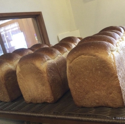 「今日も美味しいパンが並んでますよ〜♪」