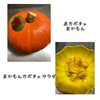「魚沼市の和食料理店　旬食や　香秀(かしゅう)です　秋の食材はいりました！！」