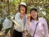 「5月はびわ狩り食べ放題ツアー」