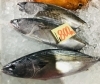 「魚魚市場鮮魚コーナーおすすめは「地ダコ・マングローブガニ」です♪」