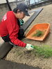一緒に敷地内の草取りも😉「生垣の剪定はベンリー福山東へ😉お家周りをスッキリしませんか？」