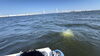 「【横浜市磯子区】海へ還る温かいお別れ。「散骨体験」で見えた新しい供養と終活のカタチ」