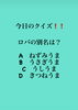 「2月13日土曜日今日のクイズ!!『ロバの別名は？  A.ねずみうま B.うさぎうま C.うしうま D.きつねうま』本日のおすすめmenuは瓢名物✨並ちらし……1,200円…8種類のネタを使用。」