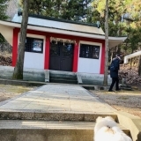 加古川市上荘町にある「若宮神社」をまっすんの愛犬と取材してきました！！