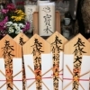 芥子山会陽（けしごやまえよう）