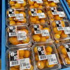 「新物野菜が入荷し始めております！」