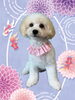 「Dog salon mofu mofu　余市町」