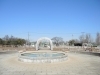 冬のバラ公園 冬のバラ 寒さしのんで 春を待つ 伊奈町 まちかどライター がゆく いなナビ 伊奈町