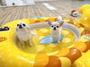 しらこちゃん＆絆くん「ましゅまろ幼稚園🐾パート２」