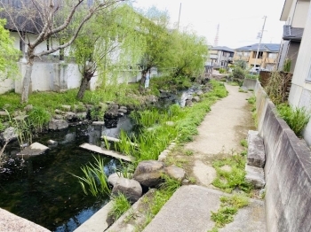 【養田川】