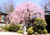 臨済宗大本山 東福寺善慧院(京都府京都市東山区) - 永代供養墓の