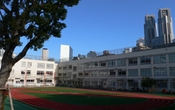 「西新宿小学校」校庭全面の芝生化も完成、快適な学習環境の整備が進む小学校