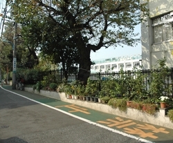 「淀橋第四小学校」区内で「淀橋」という名を冠する最後の小学校