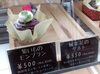 「秋の新作ケーキ！」