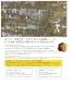 描きたい が止まらない Art Brut 生の芸術 石垣島の映画上映情報 ゆいまーる 石垣市