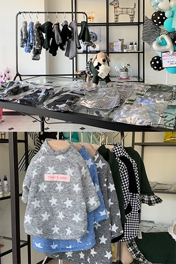 人気のTinny's shopの犬服コーナーを新設「ドッグサロン＆ホテルWanRoom（ワンルーム）」