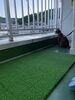 「こむぎ日記꙳★*ﾟ」