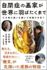 新品未開封　洋書　貴重　専門書　視覚障害を持つ子どもたちと一緒に成長し学ぶ Amazon.co.jp: #発達系女子 の明るい人生計画 ―ひとりぼっちの