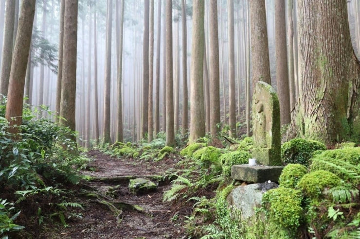 写真提供：公益社団法人　和歌山県観光連盟