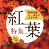 秋のお出かけに♪ おすすめ紅葉特集｜和歌山市・岩出市・田辺市・新宮市