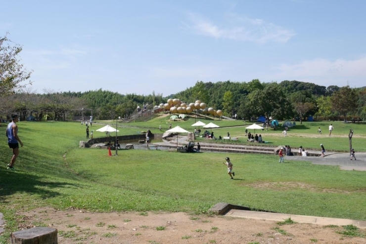 のびのび遊べる四季の郷公園。シンボル的なぶどうのような複合遊具と白い芝生。