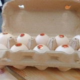 北広島町の卵「リキエッグ」で卵かけごはん食べたら絶品だった！