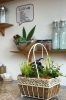 住宅展示場での『寄せ植え教室』の作品「苗工房かつやま」