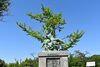 展望公園・平和の群像「引揚記念公園の草刈り」