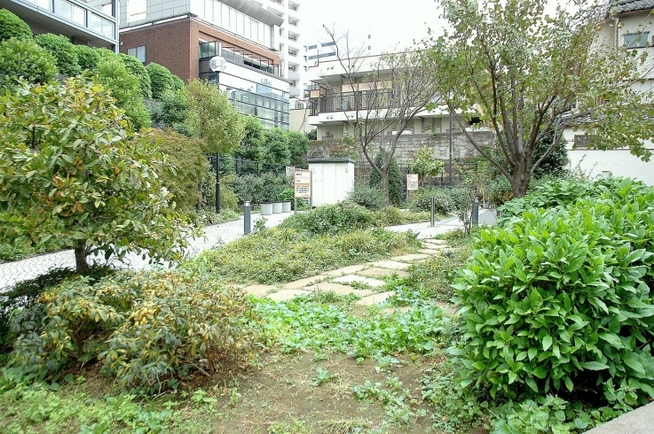 「寺内公園」神楽坂観光に来た人の休息スポット