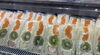 「農産物直売所「銅夢キッチン」（新居浜市泉池町）プレオープン！」