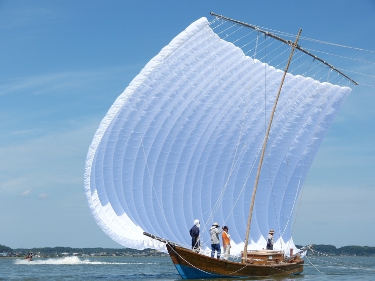 霞ケ浦に浮かぶ帆引き船、帆いっぱいに風を受けて進む姿は清々しいです。
