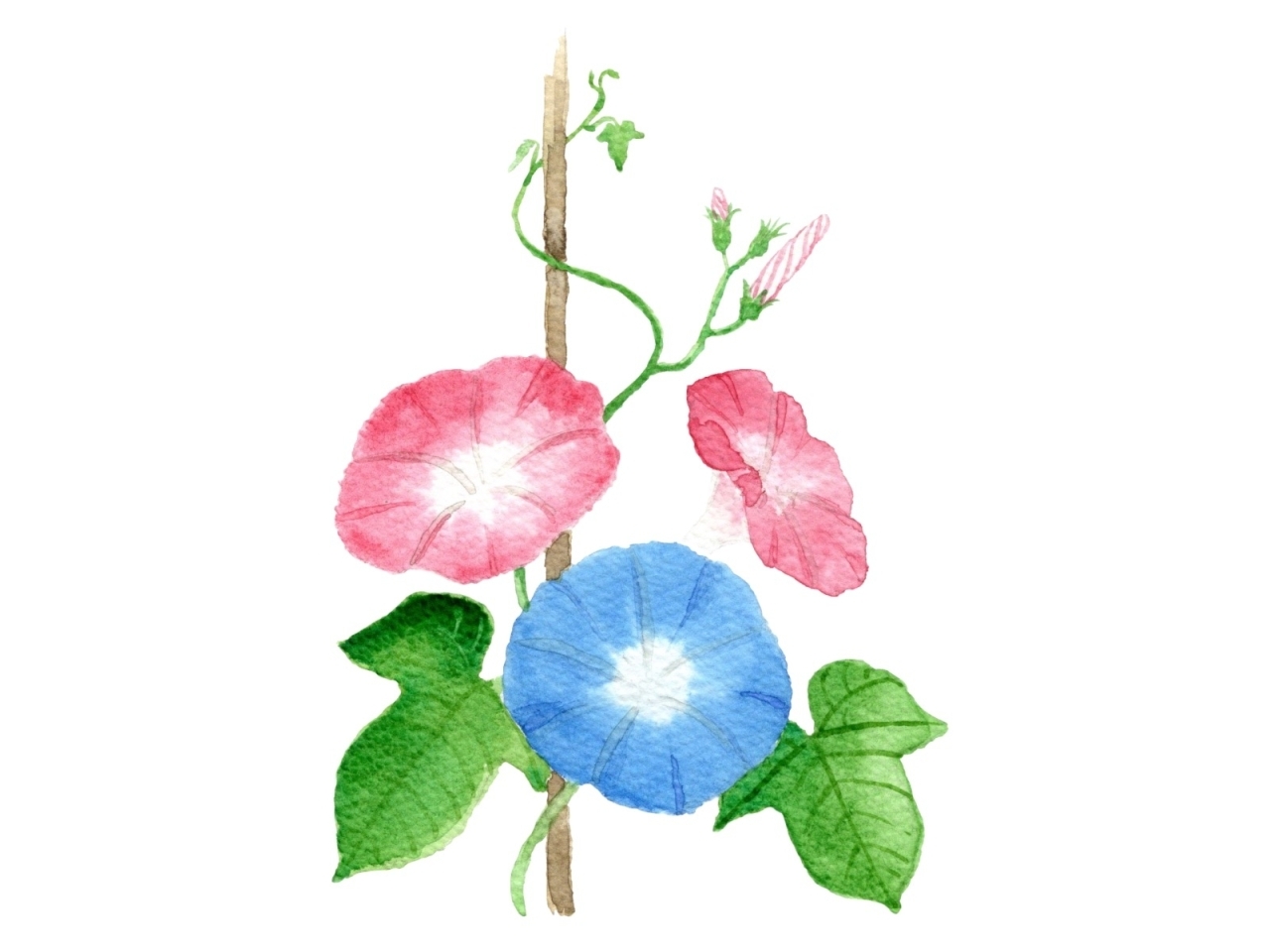 こども食堂のおばちゃんのコラム まいぷれ長野の少し役立つコラム まいぷれ 長野市 こども食堂のおばちゃんのコラム まいぷれ長野の少し役立つコラム まいぷれ 長野市