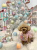 クッキーちゃん「Merry Xmas 🎄＆予約状況」