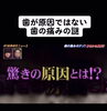 歯の痛みの原因は！「歯が原因では無い痛み」