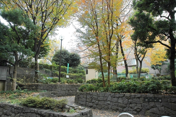 「仲之公園」芝生のスペースでごろ寝