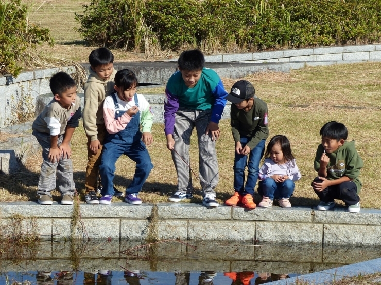 「こっち来て見てみなよー」の声に振り向くと、公園内の小さな池の前に子どもたちが集まっていました。何かを見つけたみたいだね。