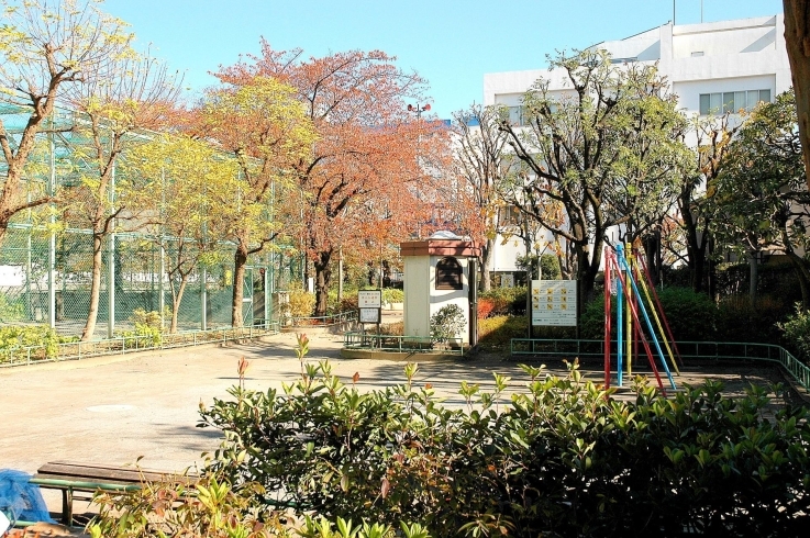 「宮田橋公園」スポーツコーナーでバスケットボールの練習ができる公園