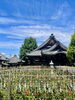 風鈴まつり「本日の境内の様子です」