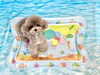 ハルくん「波とわんこ🌊」