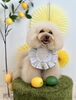 まっちゃちゃん「わんことレモン🍋」