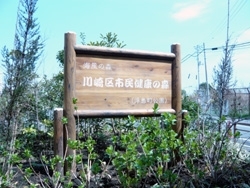 「川崎区市民健康の森」
でも浮島町公園