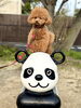 くまくん🐻🐼「ましゅまろ幼稚園🐾」